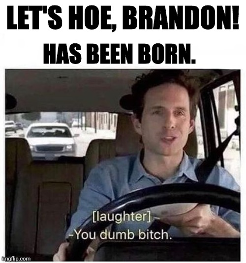 You dumb bitch | LET'S HOE, BRANDON! HAS BEEN BORN. | image tagged in you dumb bitch | made w/ Imgflip meme maker