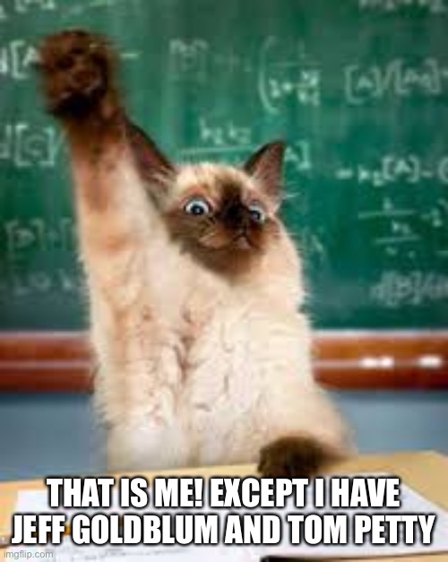 Raised hand cat | THAT IS ME! EXCEPT I HAVE JEFF GOLDBLUM AND TOM PETTY | image tagged in raised hand cat | made w/ Imgflip meme maker