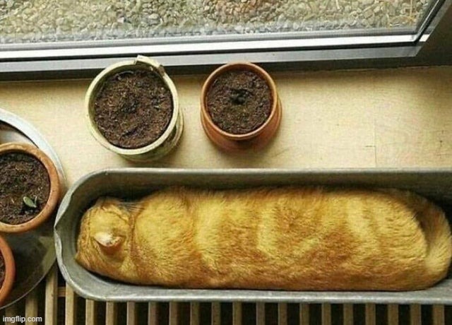 baguette | made w/ Imgflip meme maker
