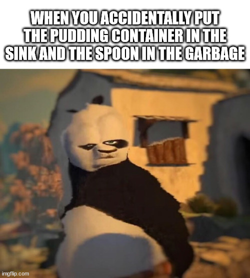 true story | WHEN YOU ACCIDENTALLY PUT THE PUDDING CONTAINER IN THE SINK AND THE SPOON IN THE GARBAGE | image tagged in drunk kung fu panda,oops | made w/ Imgflip meme maker