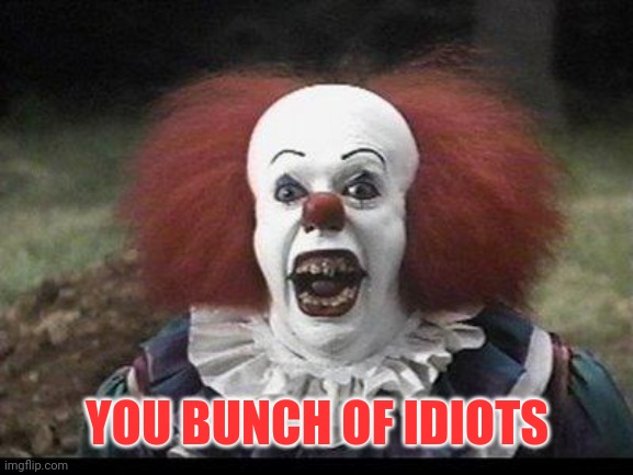 Scary Clown | YOU BUNCH OF IDIOTS | image tagged in scary clown | made w/ Imgflip meme maker