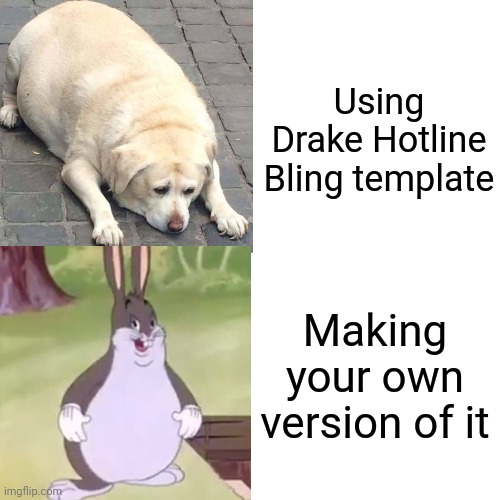 I'm a genius |  Using Drake Hotline Bling template; Making your own version of it | image tagged in big chungus,doggo,thicc doggo | made w/ Imgflip meme maker