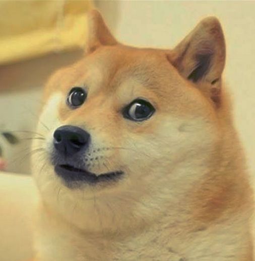 High Quality doge Blank Meme Template