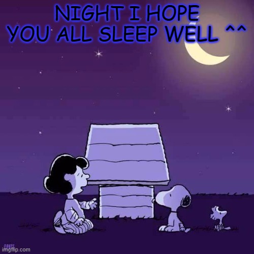 Good night  | NIGHT I HOPE YOU ALL SLEEP WELL ^^ | image tagged in good night | made w/ Imgflip meme maker