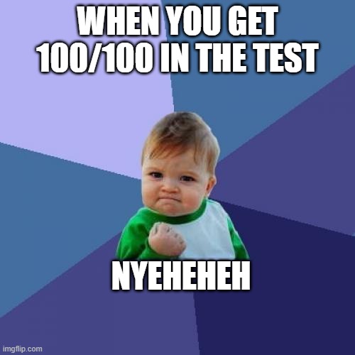 Success Kid Meme | WHEN YOU GET 100/100 IN THE TEST; NYEHEHEH | image tagged in memes,success kid,funny,latest,perfect | made w/ Imgflip meme maker