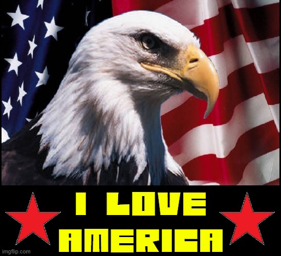 God Bless America | I LOVE
AMERICA | image tagged in vince vance,god bless america,american eagle,patriotic,land of the free,home of the brave | made w/ Imgflip meme maker