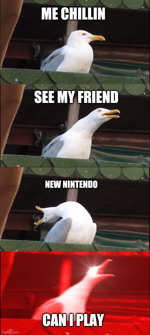 Inhaling Seagull Meme | ME CHILLIN; SEE MY FRIEND; NEW NINTENDO; CAN I PLAY | image tagged in memes,inhaling seagull | made w/ Imgflip meme maker