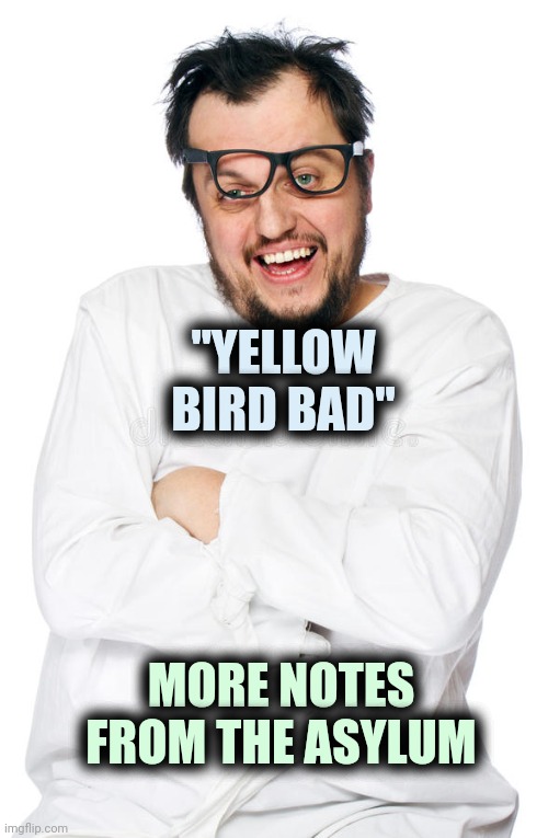 lunatic | "YELLOW BIRD BAD" MORE NOTES FROM THE ASYLUM | image tagged in lunatic | made w/ Imgflip meme maker