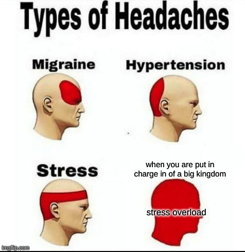 Types of Headaches meme | when you are put in charge in of a big kingdom; stress overload | image tagged in types of headaches meme | made w/ Imgflip meme maker