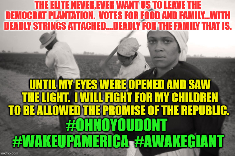 Income Tax Slavery | THE ELITE NEVER,EVER WANT US TO LEAVE THE DEMOCRAT PLANTATION.  VOTES FOR FOOD AND FAMILY...WITH DEADLY STRINGS ATTACHED....DEADLY FOR THE FAMILY THAT IS. UNTIL MY EYES WERE OPENED AND SAW THE LIGHT.  I WILL FIGHT FOR MY CHILDREN TO BE ALLOWED THE PROMISE OF THE REPUBLIC. #OHNOYOUDONT  #WAKEUPAMERICA  #AWAKEGIANT | image tagged in income tax slavery | made w/ Imgflip meme maker