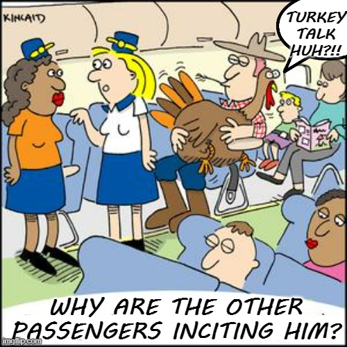 TURKEY TALK HUH?!! WHY ARE THE OTHER PASSENGERS INCITING HIM? | made w/ Imgflip meme maker