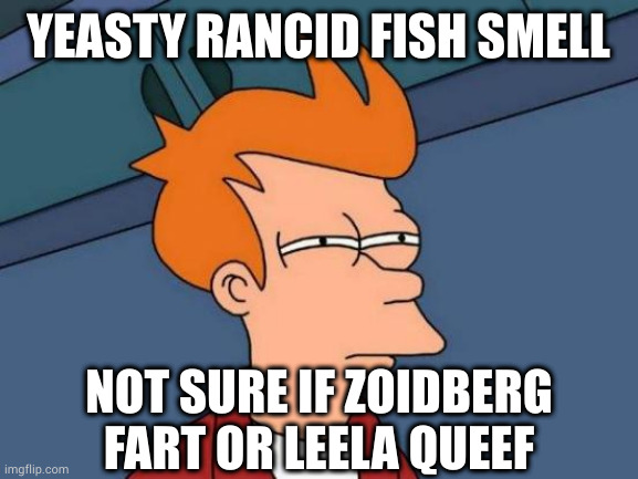 That stench. That heavenly stench! | YEASTY RANCID FISH SMELL; NOT SURE IF ZOIDBERG FART OR LEELA QUEEF | image tagged in memes,futurama fry | made w/ Imgflip meme maker