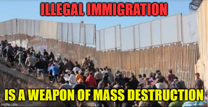 Illegal Immigrants |  ILLEGAL IMMIGRATION; IS A WEAPON OF MASS DESTRUCTION | image tagged in illegal immigrants | made w/ Imgflip meme maker
