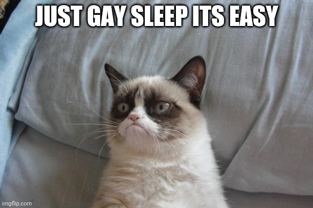Grumpy Cat Bed Meme | JUST GAY SLEEP ITS EASY | image tagged in memes,grumpy cat bed,grumpy cat | made w/ Imgflip meme maker