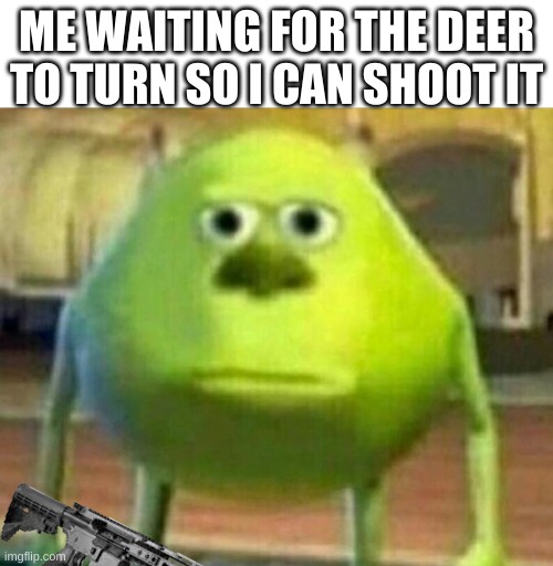 Mike Wazowski-Sulley Face Swap | ME WAITING FOR THE DEER TO TURN SO I CAN SHOOT IT | image tagged in mike wazowski-sulley face swap | made w/ Imgflip meme maker