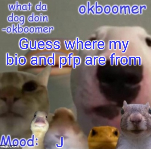 me when | Guess where my bio and pfp are from; J | image tagged in okboomer template v4 credit to yeetrex | made w/ Imgflip meme maker