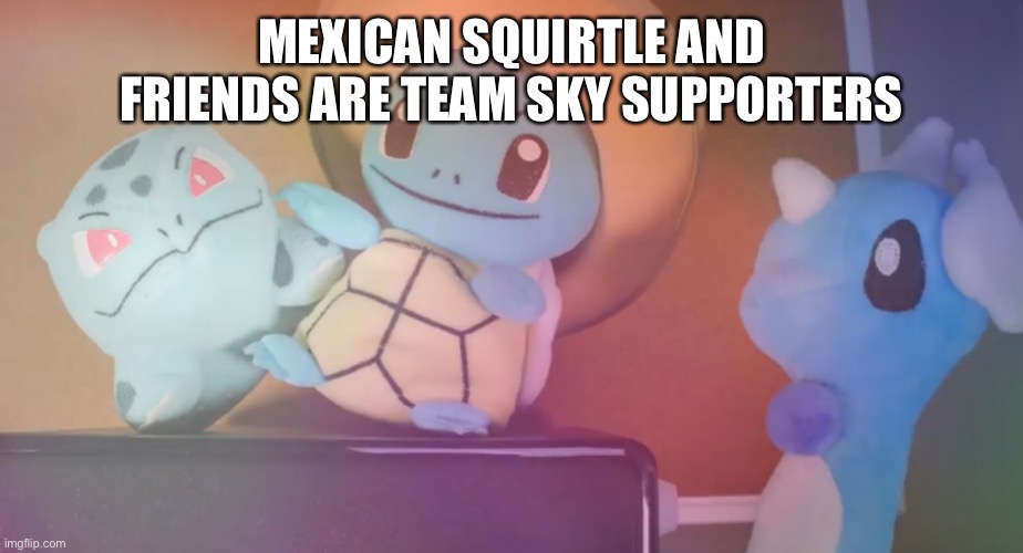 Team sky | MEXICAN SQUIRTLE AND FRIENDS ARE TEAM SKY SUPPORTERS | image tagged in mandjtv pokemon talk | made w/ Imgflip meme maker