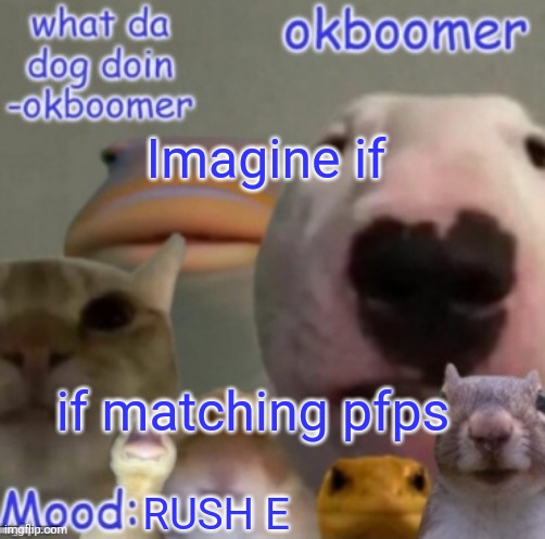 Okboomer template v4 (credit to yeetrex) | Imagine if; if matching pfps; RUSH E | image tagged in okboomer template v4 credit to yeetrex | made w/ Imgflip meme maker
