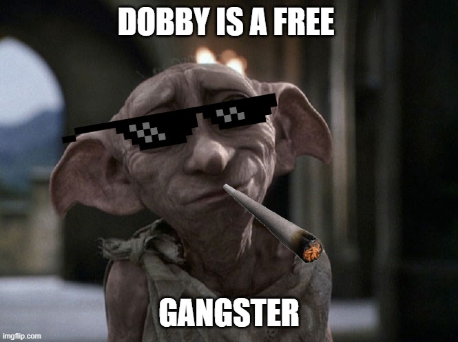 dobby is a free gangster (this is mine all credit goes to me dont steal | DOBBY IS A FREE; GANGSTER | image tagged in dobby is a free elf | made w/ Imgflip meme maker
