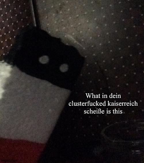 What in the clusterfucked kaiserreich scheiße is this | made w/ Imgflip meme maker