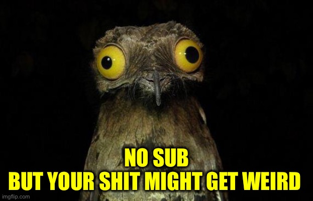 Weird Stuff I Do Potoo Meme | NO SUB
BUT YOUR SHIT MIGHT GET WEIRD | image tagged in memes,weird stuff i do potoo | made w/ Imgflip meme maker