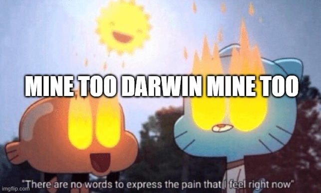 There Are No Words To Express The Pain That I Feel Right Now | MINE TOO DARWIN MINE TOO | image tagged in there are no words to express the pain that i feel right now | made w/ Imgflip meme maker