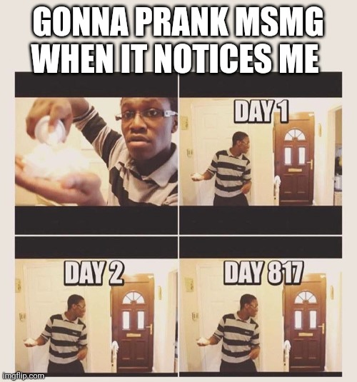 gonna prank x when he/she gets home | GONNA PRANK MSMG WHEN IT NOTICES ME | image tagged in gonna prank x when he/she gets home | made w/ Imgflip meme maker