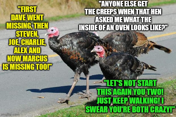 Turkey Day Comes Soon! Beware! | "ANYONE ELSE GET THE CREEPS WHEN THAT HEN ASKED ME WHAT THE INSIDE OF AN OVEN LOOKS LIKE?"; "FIRST DAVE WENT MISSING, THEN STEVEN, JOE, CHARLIE, ALEX AND NOW MARCUS IS MISSING TOO!"; "LET'S NOT START THIS AGAIN YOU TWO! JUST KEEP WALKING! I SWEAR YOU'RE BOTH CRAZY!" | image tagged in turkeys,end of the world,thanksgiving | made w/ Imgflip meme maker