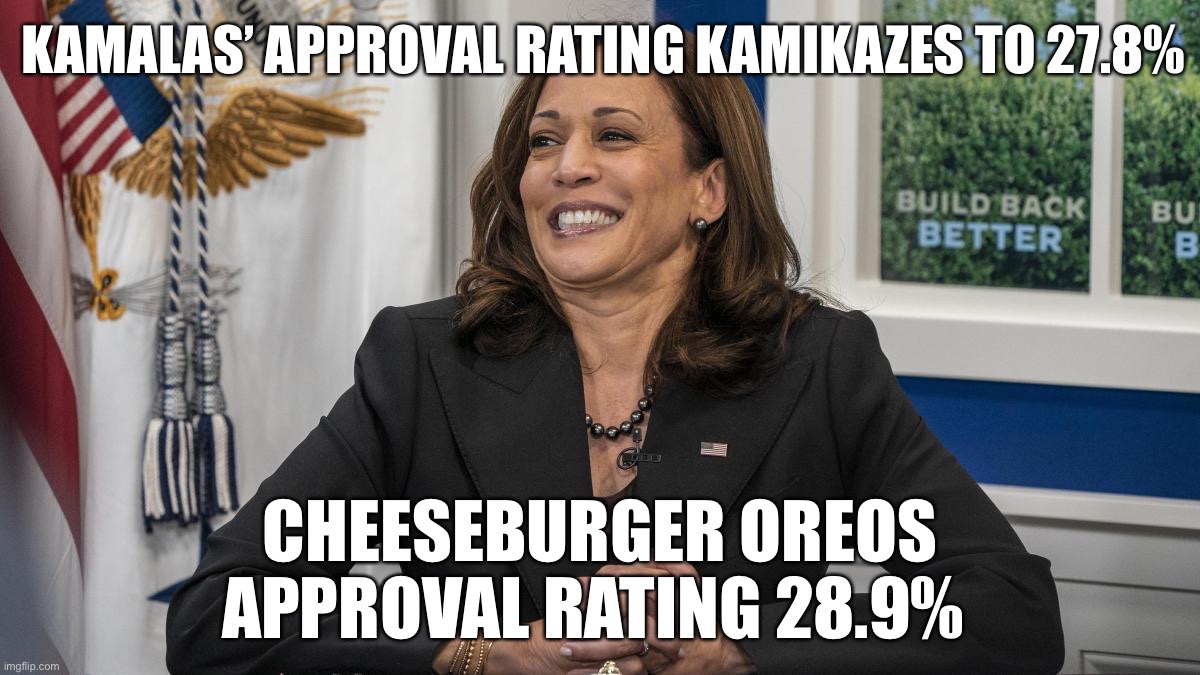 Kamala Harris Approval Is How Low? | KAMALAS’ APPROVAL RATING KAMIKAZES TO 27.8%; CHEESEBURGER OREOS APPROVAL RATING 28.9% | image tagged in political meme,kamala harris,kamala approval rating,kamala southern border | made w/ Imgflip meme maker