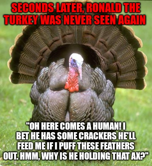 Turkeys..... not known for their intelligence | SECONDS LATER, RONALD THE TURKEY WAS NEVER SEEN AGAIN; "OH HERE COMES A HUMAN! I BET HE HAS SOME CRACKERS HE'LL FEED ME IF I PUFF THESE FEATHERS OUT. HMM, WHY IS HE HOLDING THAT AX?" | image tagged in memes,turkey,smart animals,we're all doomed | made w/ Imgflip meme maker