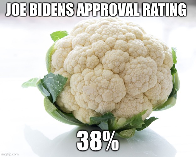 Joe Biden’s Approval Rating! | JOE BIDENS APPROVAL RATING; 38% | image tagged in political meme,joe biden approval rating,joe biden dementia,joe biden incompetence | made w/ Imgflip meme maker