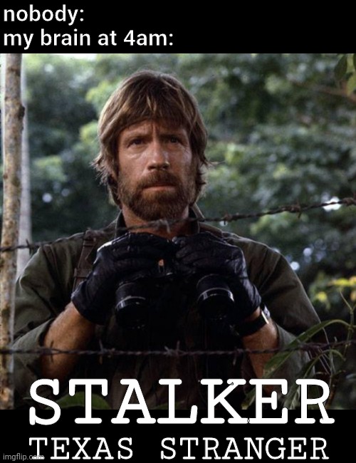 Chuck Norris is watching you! |  nobody:
my brain at 4am:; STALKER; TEXAS STRANGER | image tagged in chuck norris,stalker,texas,stranger | made w/ Imgflip meme maker
