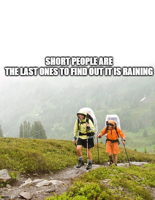 short people | SHORT PEOPLE ARE THE LAST ONES TO FIND OUT IT IS RAINING | image tagged in fjb | made w/ Imgflip meme maker