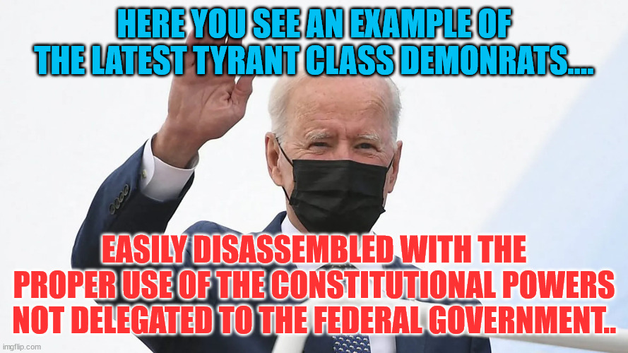 Biden plays Hitler | HERE YOU SEE AN EXAMPLE OF THE LATEST TYRANT CLASS DEMONRATS.... EASILY DISASSEMBLED WITH THE PROPER USE OF THE CONSTITUTIONAL POWERS NOT DELEGATED TO THE FEDERAL GOVERNMENT.. | image tagged in biden plays hitler | made w/ Imgflip meme maker