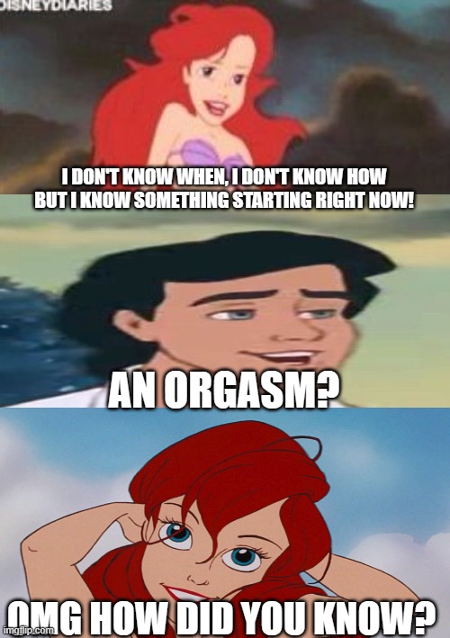 Part of Your World | I DON'T KNOW WHEN, I DON'T KNOW HOW BUT I KNOW SOMETHING STARTING RIGHT NOW! AN ORGASM? OMG HOW DID YOU KNOW? | image tagged in memes | made w/ Imgflip meme maker
