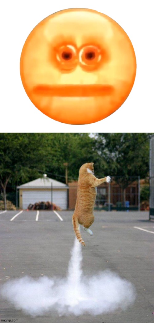 image tagged in c,rocket cat | made w/ Imgflip meme maker