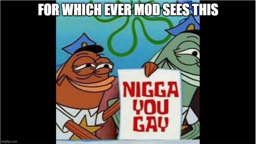 Bibba You Gay | FOR WHICH EVER MOD SEES THIS | image tagged in bibba you gay | made w/ Imgflip meme maker
