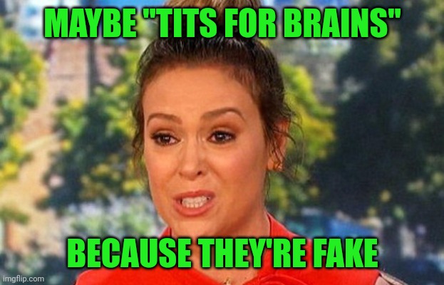 #MeToo Alyssa Milano status | MAYBE "TITS FOR BRAINS" BECAUSE THEY'RE FAKE | image tagged in metoo alyssa milano status | made w/ Imgflip meme maker