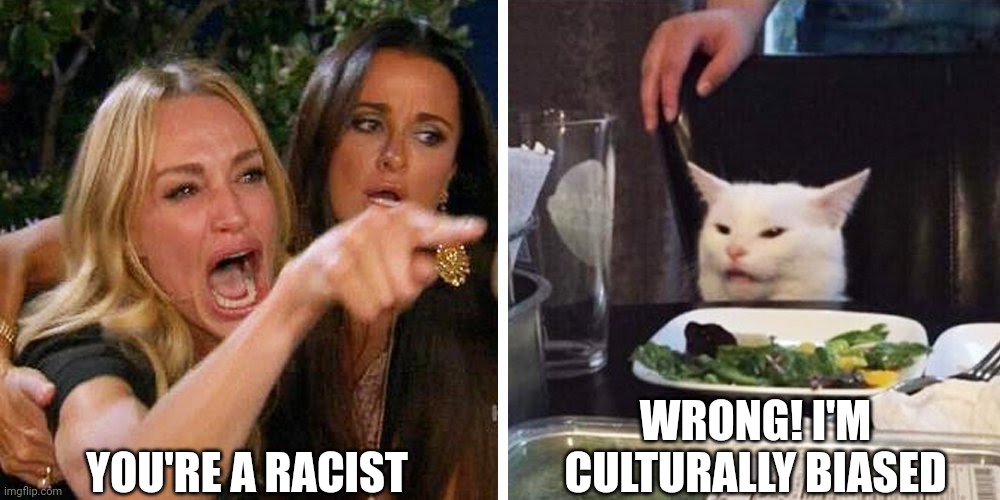 Micro aggressive much? | YOU'RE A RACIST; WRONG! I'M CULTURALLY BIASED | image tagged in smudge the cat | made w/ Imgflip meme maker