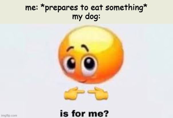 Is for me | me: *prepares to eat something*
my dog: | image tagged in is for me | made w/ Imgflip meme maker