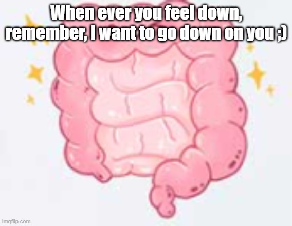 Gut | When ever you feel down, remember, I want to go down on you ;) | image tagged in gut | made w/ Imgflip meme maker