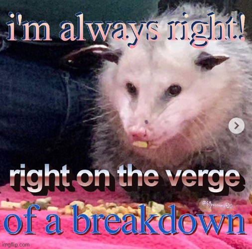 i will keep posting funne possum images | made w/ Imgflip meme maker