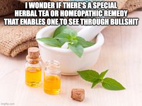 BS detection |  I WONDER IF THERE'S A SPECIAL HERBAL TEA OR HOMEOPATHIC REMEDY THAT ENABLES ONE TO SEE THROUGH BULLSHIT | image tagged in alternative medicine,homeopathy,herbal tea,bullshit | made w/ Imgflip meme maker