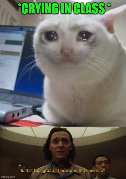 everyone gives attention when cry, y | *CRYING IN CLASS * | image tagged in crying cat,loki surprised of tva's shit | made w/ Imgflip meme maker