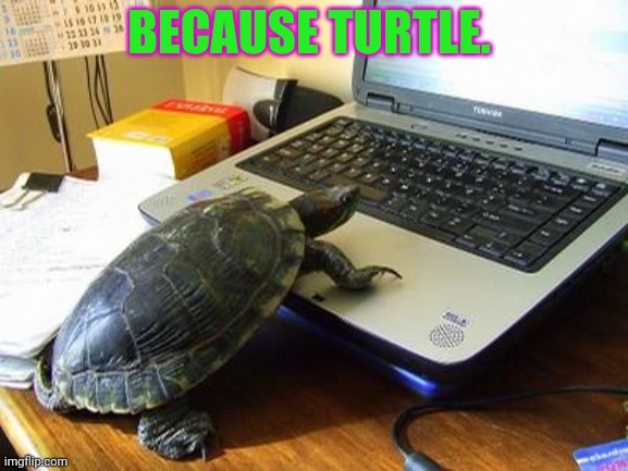 When Mine Turtle returns... | BECAUSE TURTLE. | image tagged in turtle computer,mine turtle,stop deleting,your accounts man | made w/ Imgflip meme maker
