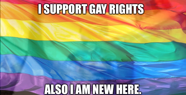 I SUPPORT GAY RIGHTS; ALSO I AM NEW HERE. | made w/ Imgflip meme maker