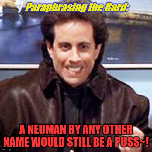 Seinfeld Newman | Paraphrasing the Bard:; A NEUMAN BY ANY OTHER NAME WOULD STILL BE A PUSS~! | image tagged in seinfeld newman | made w/ Imgflip meme maker