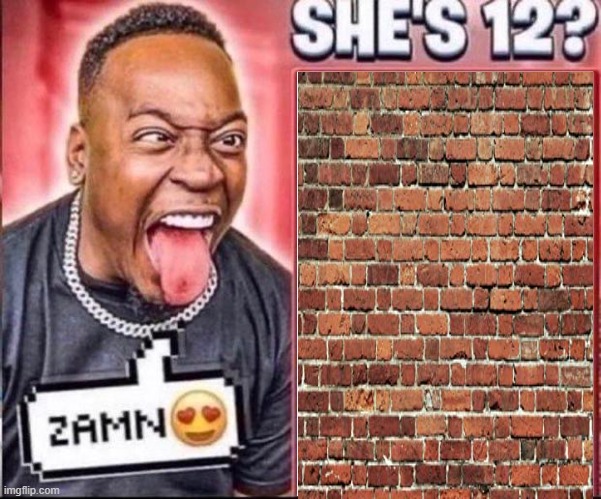 Wall | image tagged in zamn she's 12,memes | made w/ Imgflip meme maker