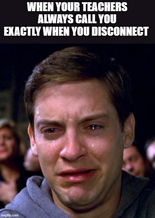 crying peter parker | WHEN YOUR TEACHERS ALWAYS CALL YOU EXACTLY WHEN YOU DISCONNECT | image tagged in crying peter parker | made w/ Imgflip meme maker