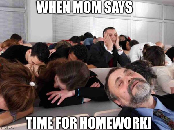 Time for homeWork | WHEN MOM SAYS; TIME FOR HOMEWORK! | image tagged in boring,funny meme,fun | made w/ Imgflip meme maker